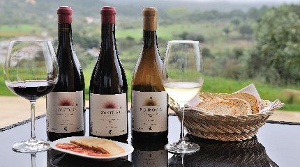 Cabeças do Reguengo