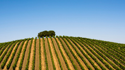 Quinta do Quetzal