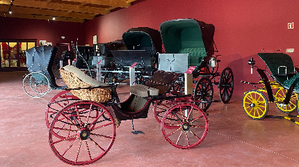 Explore Lagoalva with Lunch
