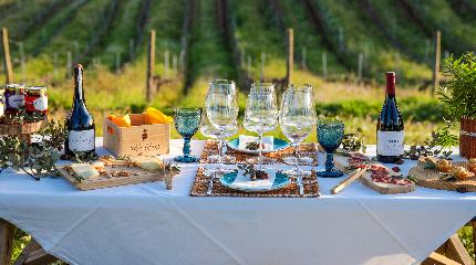 Luxury Picnic in the Vineyards