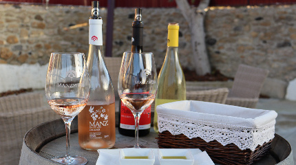 A Verdadeira Essência prova de vinhos