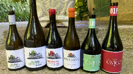 Visita e Prova de 3 vinhos 