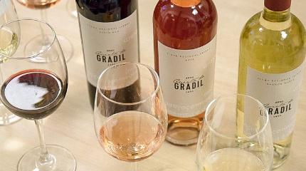 Visita com prova de 3 vinhos clássico