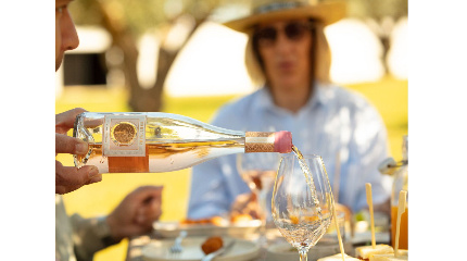 Prova de 3 vinhos