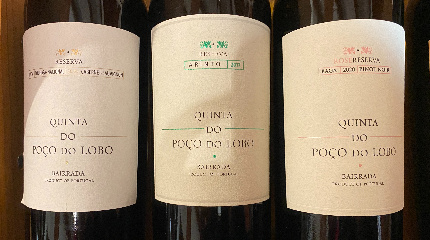Prova de 4 Vinhos Quinta do Poço do Lobo