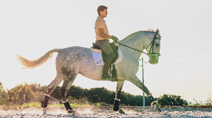 Beginner Riding Lesson 