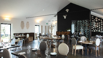 Wines at the Table 