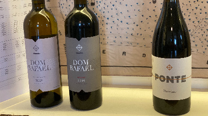 Visita à adega e prova de 3 vinhos