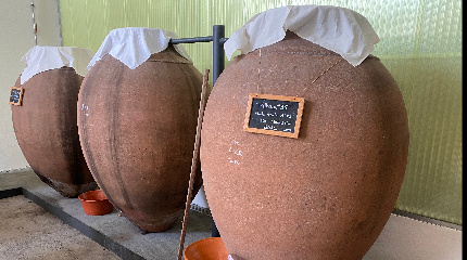 Prova de Vinhos de amphora 