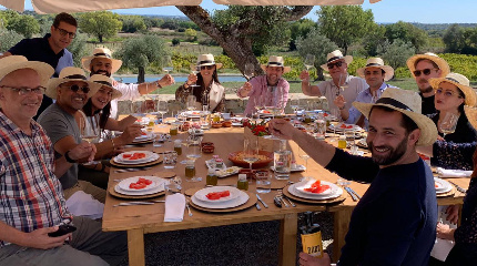 New & Old Vineyards 