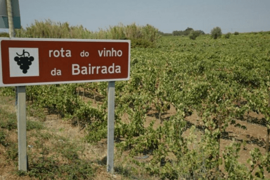 Bairrada